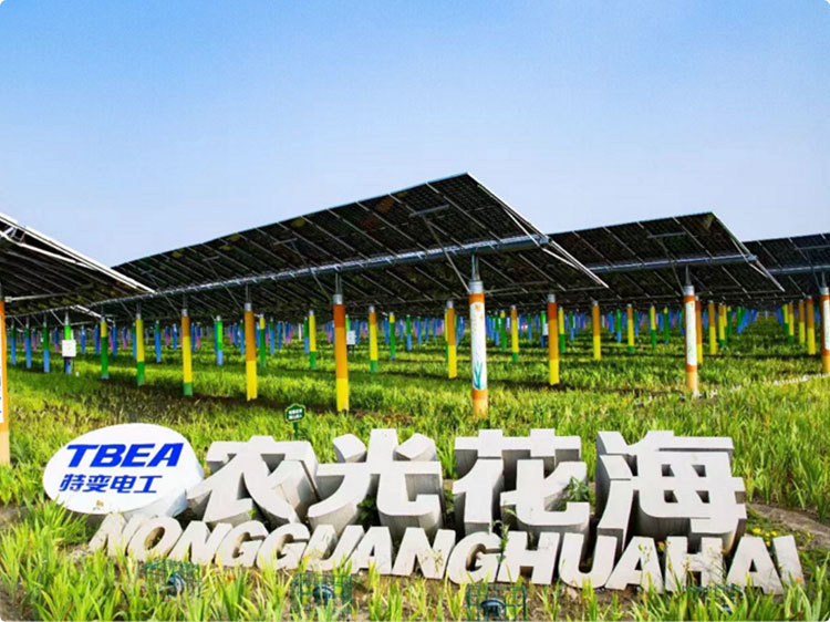 公司积极修复生态，通过在区域绿化和异地种植树木等进行补救；发展农光互补、渔光互补等项目；持续推进绿色矿山建设与优化升级，努力提高绿地覆盖率；同时，联合野生动物保护协会等公益组织，对矿区内野生动物进行调研，营造自然生态环境，并加强员工意识培训，有效促进生态系 统与生物多样性的良性循环。