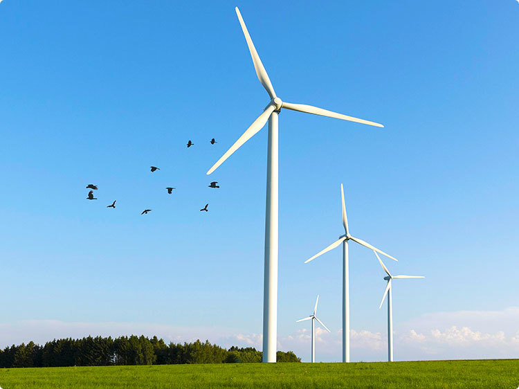 公司有效控制占地面积、尽量缩短工期、进行绿色施工并严控污染物与废弃物排放；同时，对施工人员和附近群众加强生态保护宣传教育，通过制度化严禁施工人员对野生动物进行猎捕和恐吓，尽量减少对现有植被的破坏，保证动物栖息环境不会发生大的变化。