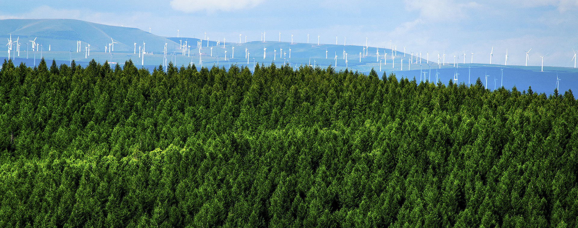 同心同行 零碳未来