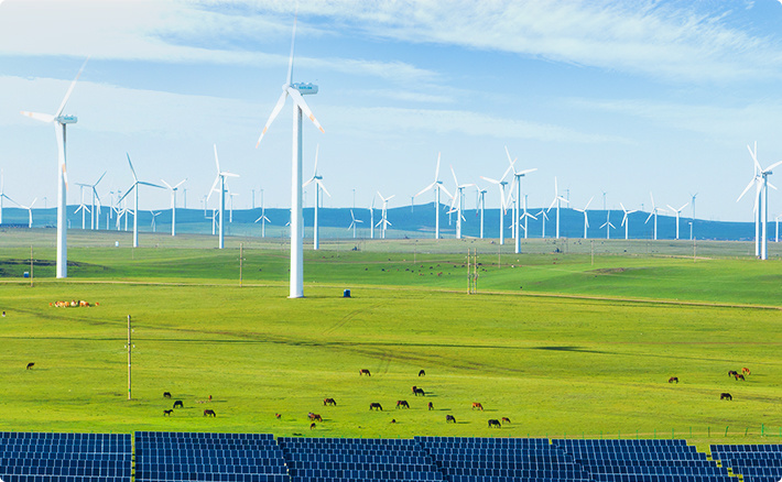 公司严格遵照《中华人民共和国水土保持法》《建设项目环境保护管理条例》《中华人民共和国野生动物保护法》《中华人民共和国自然保护区条例》及相关规定，制定具体的生态保护措施，在项目建设及运营全过程中积极践行环境与生物多样性保护理念。公司各项目 / 运营地均不涉及法定生态保护区域、重要生境以及其他具有重要生态功能、对保护生物多样性具有重要意义的区域等生态敏感区。