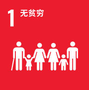 可持续发展目标