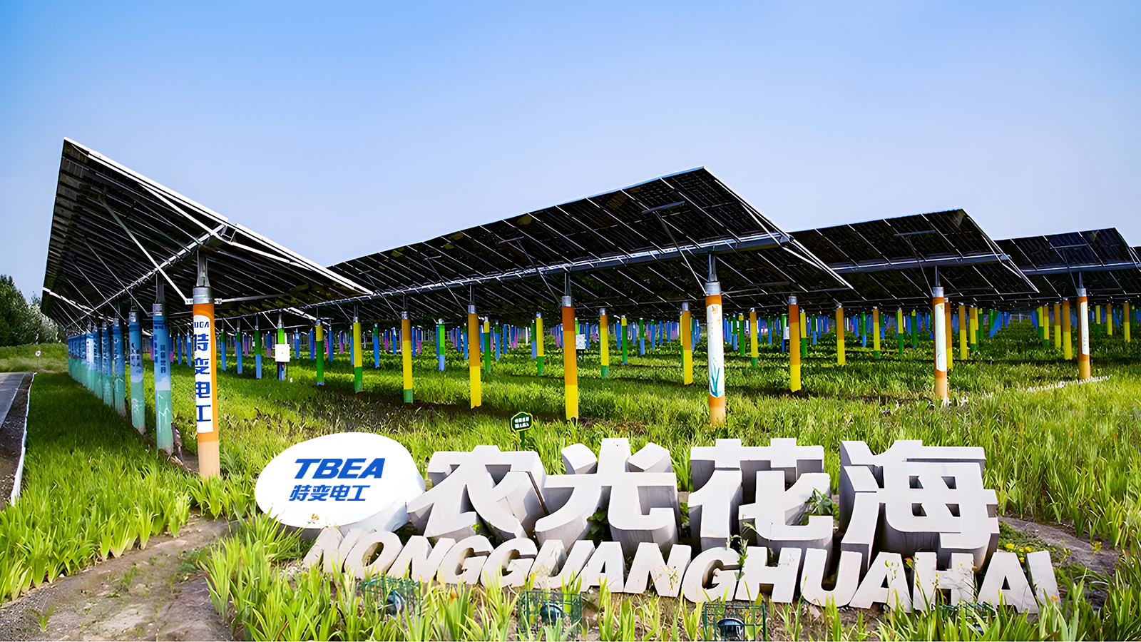 河北省衡水市冀州区120MW农光互补光伏发电项目